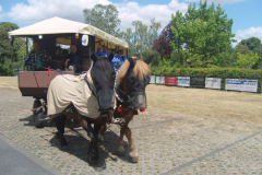 SAMSUNG DIGITAL CAMERA